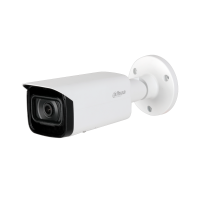 DAHUA DH-IPC-HFW2231TP-AS-0600B IP-камера