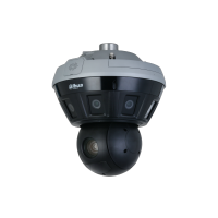 DAHUA DH-PSDW81642S-A360-D425 IP-камера