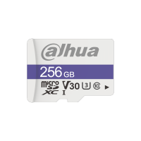 DAHUA DHI-TF-C100/256GB Флеш-накопитель